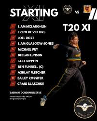 Image result for Wandham Cricket Club