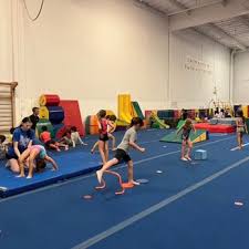 Image result for Wyre Forest School Of Gymnastics