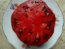 Afbeeldingsresultaat voor carbon tomato