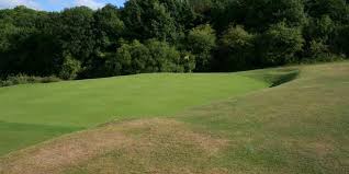 Image result for Royston Golf Club Ltd