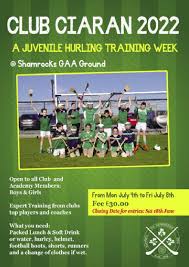 Image result for Shamrocks Hurling & Football Club