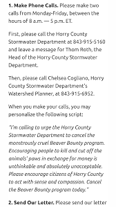 Image result for Beaver Sc