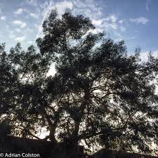 Image result for Devon & Exeter Squash Club