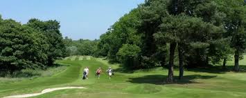 Image result for Drumpellier Cricket Club