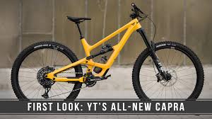 Attēlu rezultāti vaicājumam “Capra juvenile”