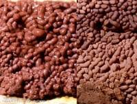 Attēlu rezultāti vaicājumam “Arcyria stipata”