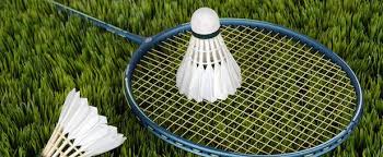Image result for Henfield Dist Badminton Club