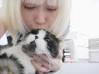 蔣雅文Mandy Chiang Blog