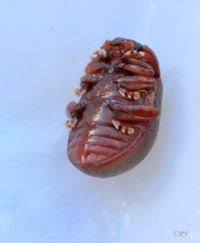 Attēlu rezultāti vaicājumam “Chrysolina staphylaea”