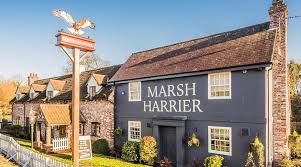 Image result for Ipswich Harriers