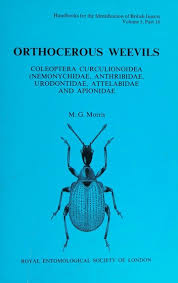 Image result for Coleoptera Curculionoidea