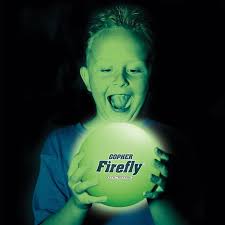 Image result for Fireflys Badminton Club