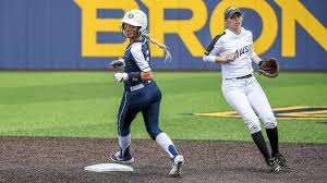 Image result for Brighton Beachcombers Softball Club