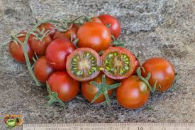 Afbeeldingsresultaat voor carbon tomato