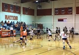 Image result for Valhalla Netball Club