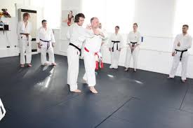 Image result for Derwent Jujitsu Academies