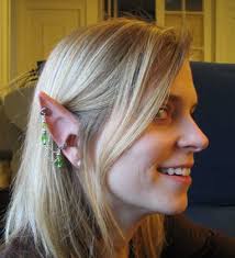 Image result for ear mod
