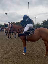 Image result for Cardiff University Swimming & Water Polo Club