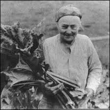 Image result for Thaddus Haenke