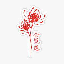 Image result for AikidoFlow