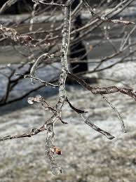 Image result for ice storm