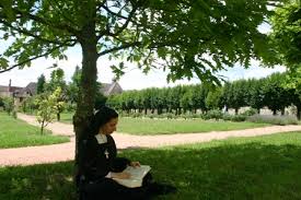 Image result for visitandines