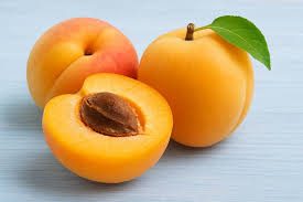 Attēlu rezultāti vaicājumam “Prunus armeniaca fruit”