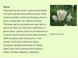 Image result for genus