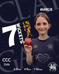 Image result for Claygate Cricket Club