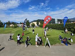 Image result for Cheam Girls Gc