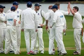 Image result for Prestatyn Cricket Club