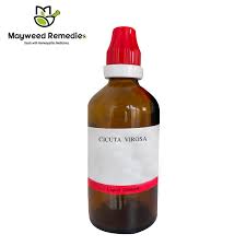 Attēlu rezultāti vaicājumam “Cicuta virosa”