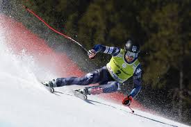 Attēlu rezultāti vaicājumam “Trichia alpina young”