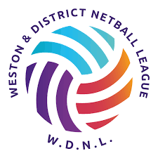 Image result for Kingfishers Netball Club