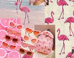 Image result for optimal tehron