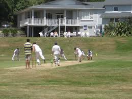 Image result for Lynchmere Cricket Club