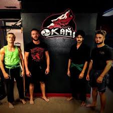 Image result for Okami Karate & Fitness Schools
