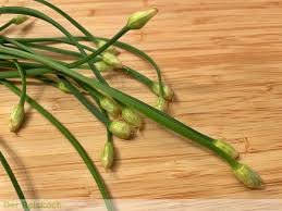 Image result for Schnittknoblauch