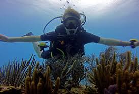 Image result for Falmouth Octopush Club