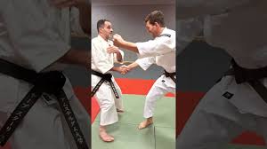 Image result for Southampton University Shorinji Kempo Club