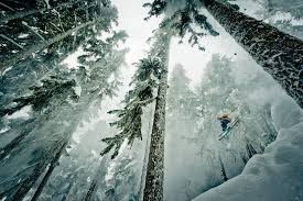 Image result for Eclipse Ski