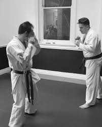 Image result for Ronin Yudansha Ryu