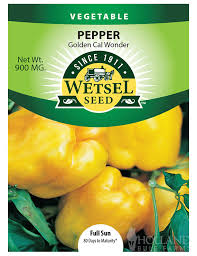 Afbeeldingsresultaat voor californian wonder golden sweet pepper