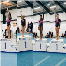 Image result for Pinewood Gymnastics Club