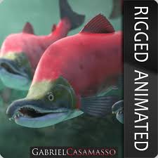 Image result for Oncorhynchus nerka