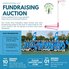 Image result for Bridgewater Netball Club