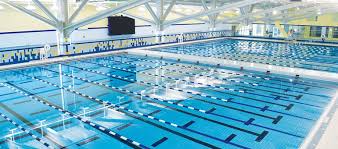 Image result for Chelsea & Fulham Sub-Aqua Club