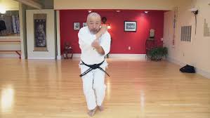 Image result for enpi dojo