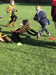 Image result for Aspull RFC