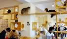 10 weird but wonderful themed cafes and restaurants | Coolfood.